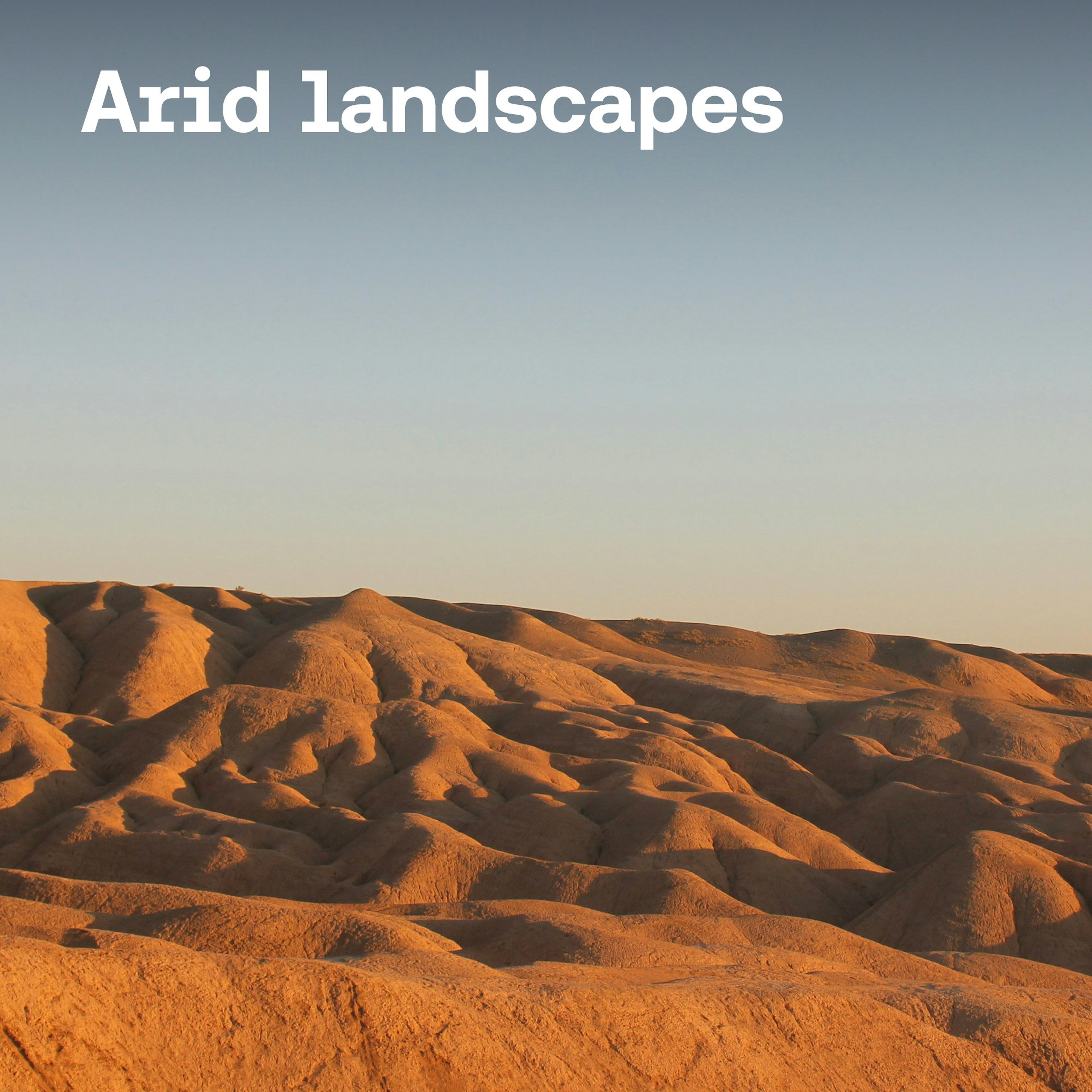 Arid Landscapes