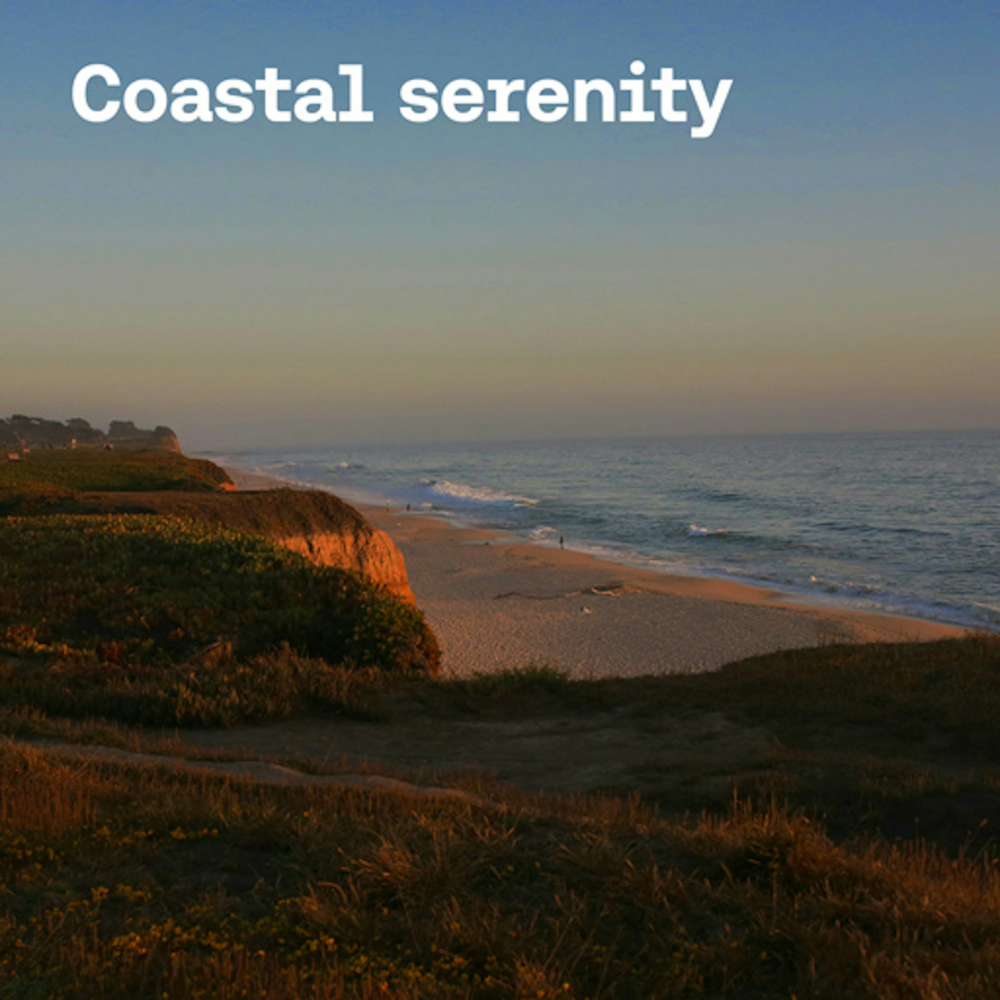 Coastal Serenity