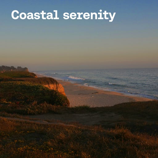 Coastal Serenity cover image