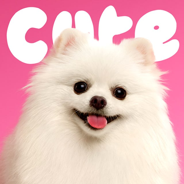 Free cute music cover image