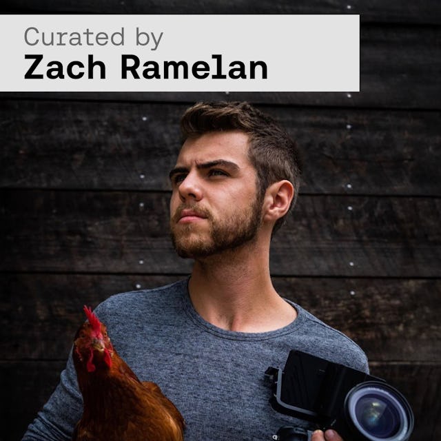 Driving The Edit cover image