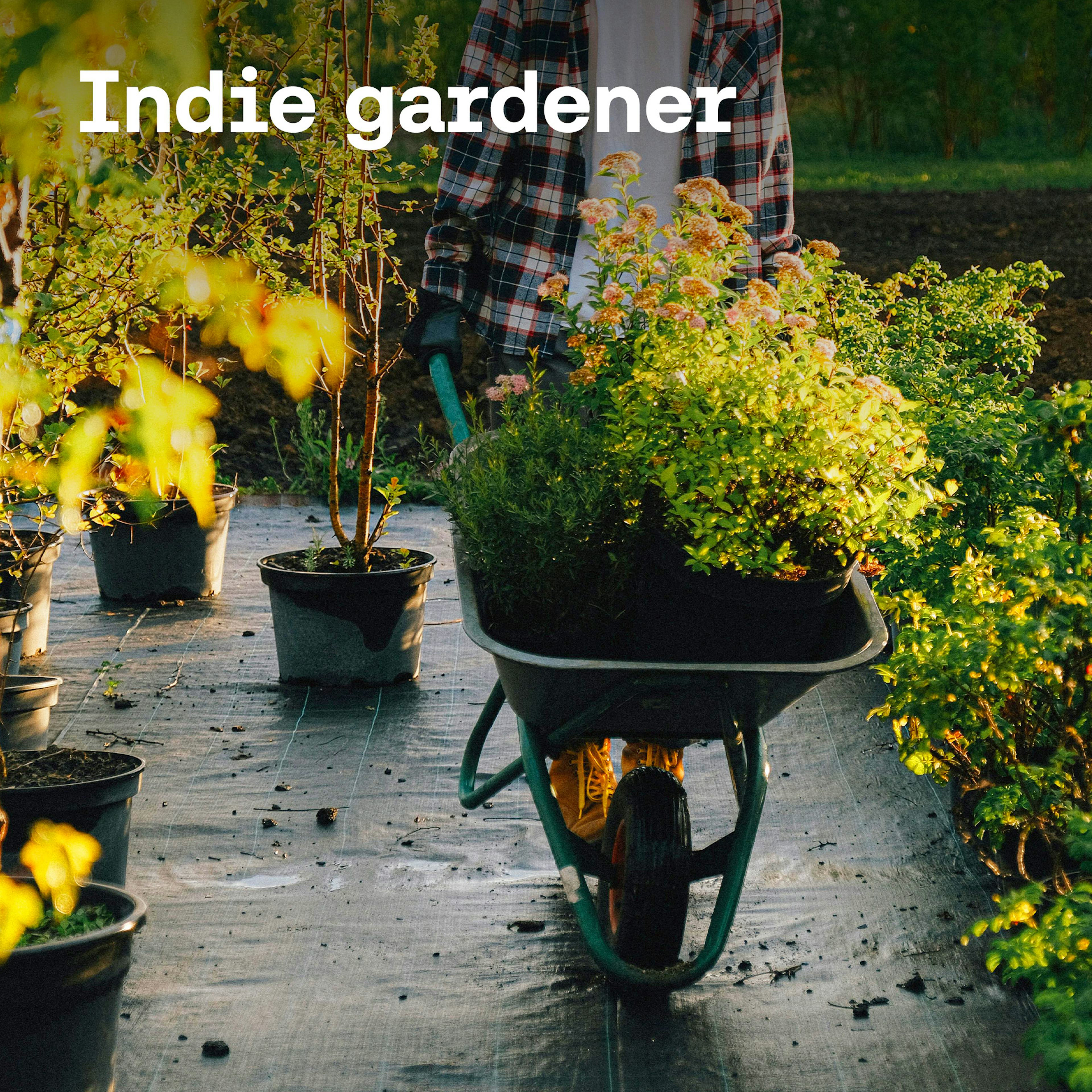 Indie Gardener