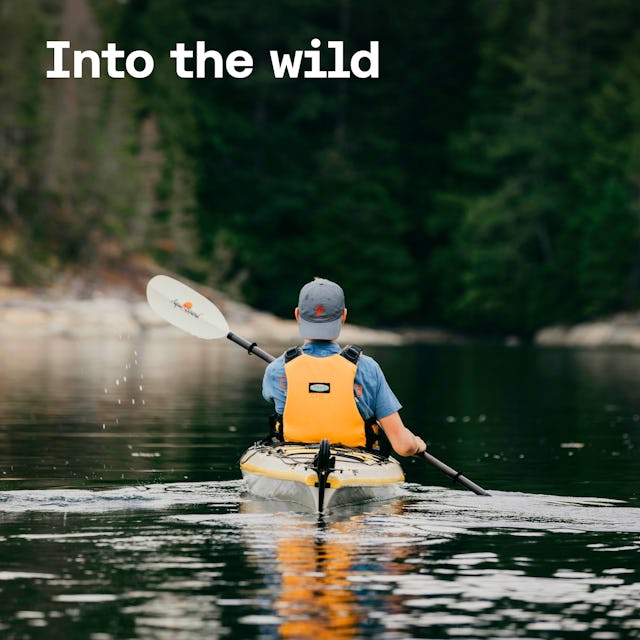 Into The Wild cover image