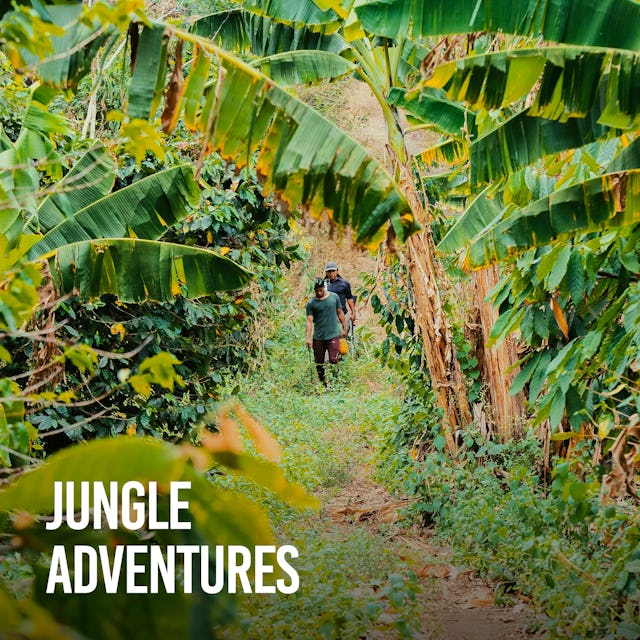 Jungle Adventures cover image