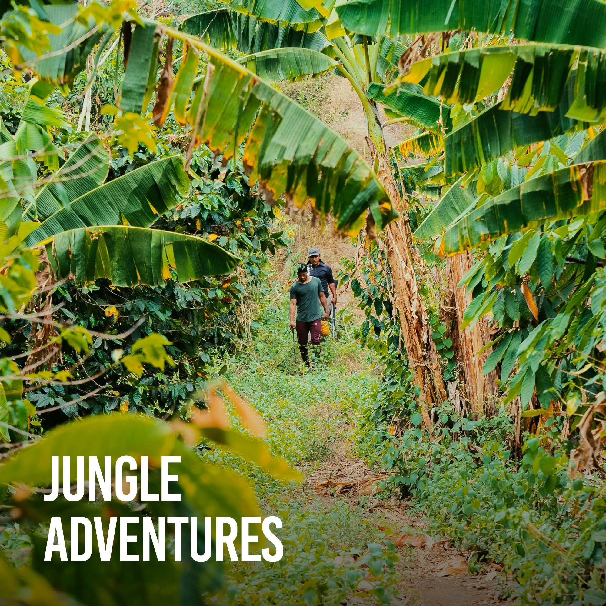 Jungle Adventures