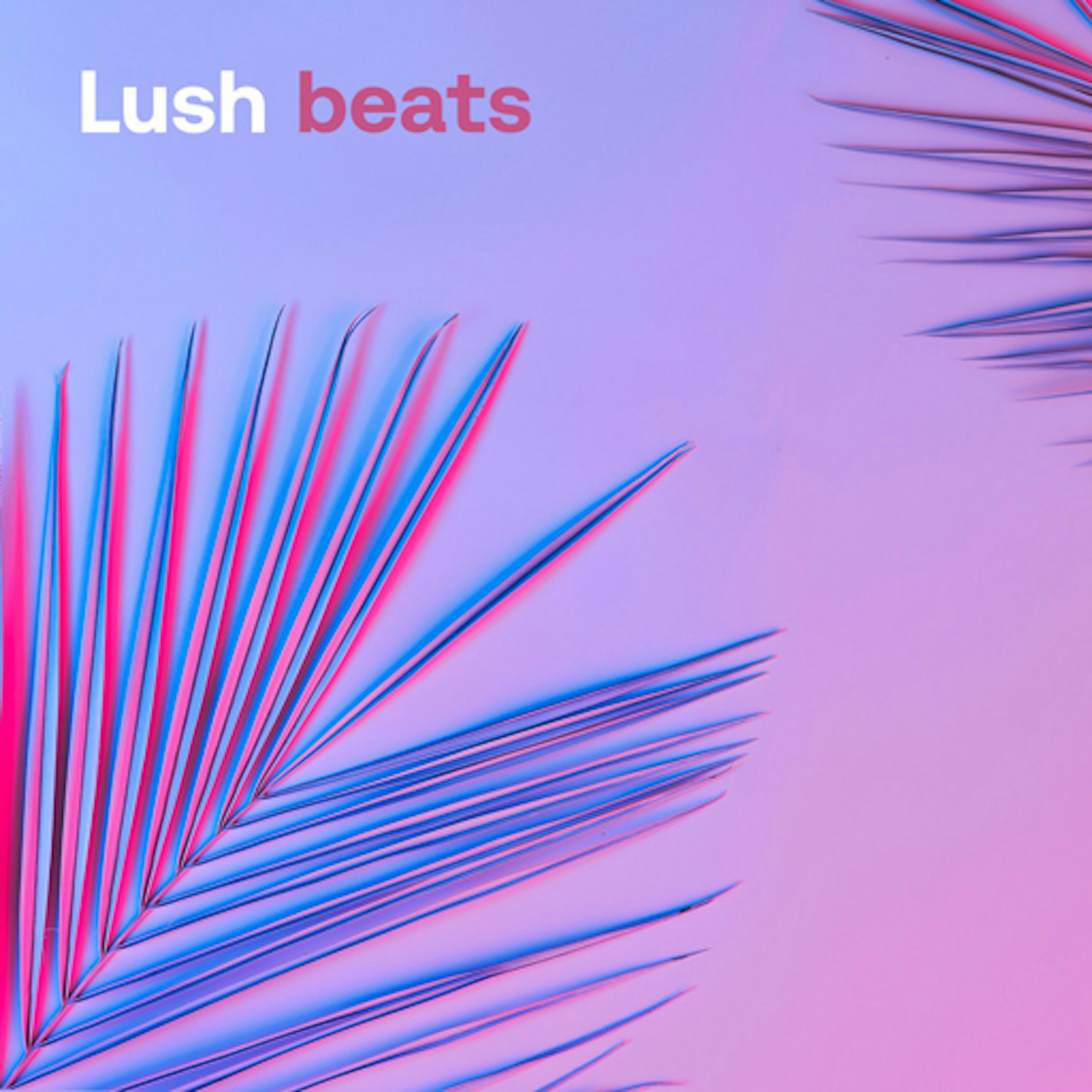 Lush Beats