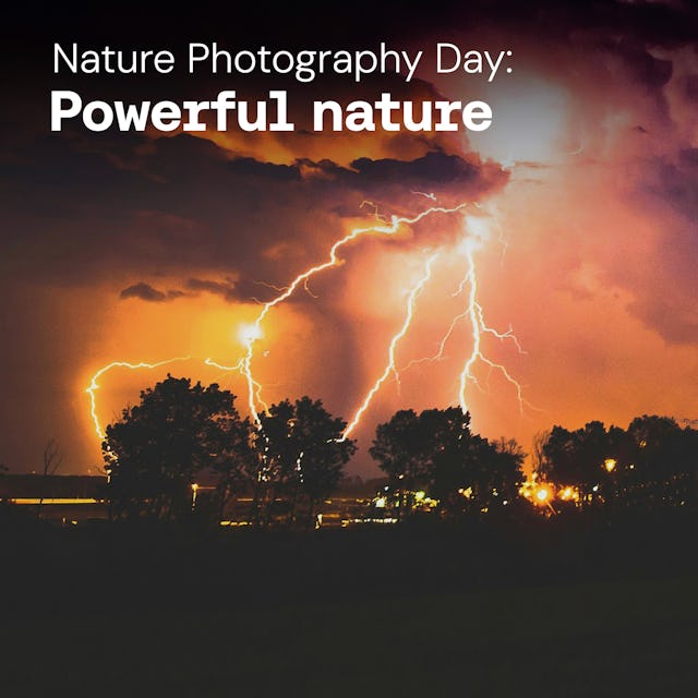 Powerful Nature cover image