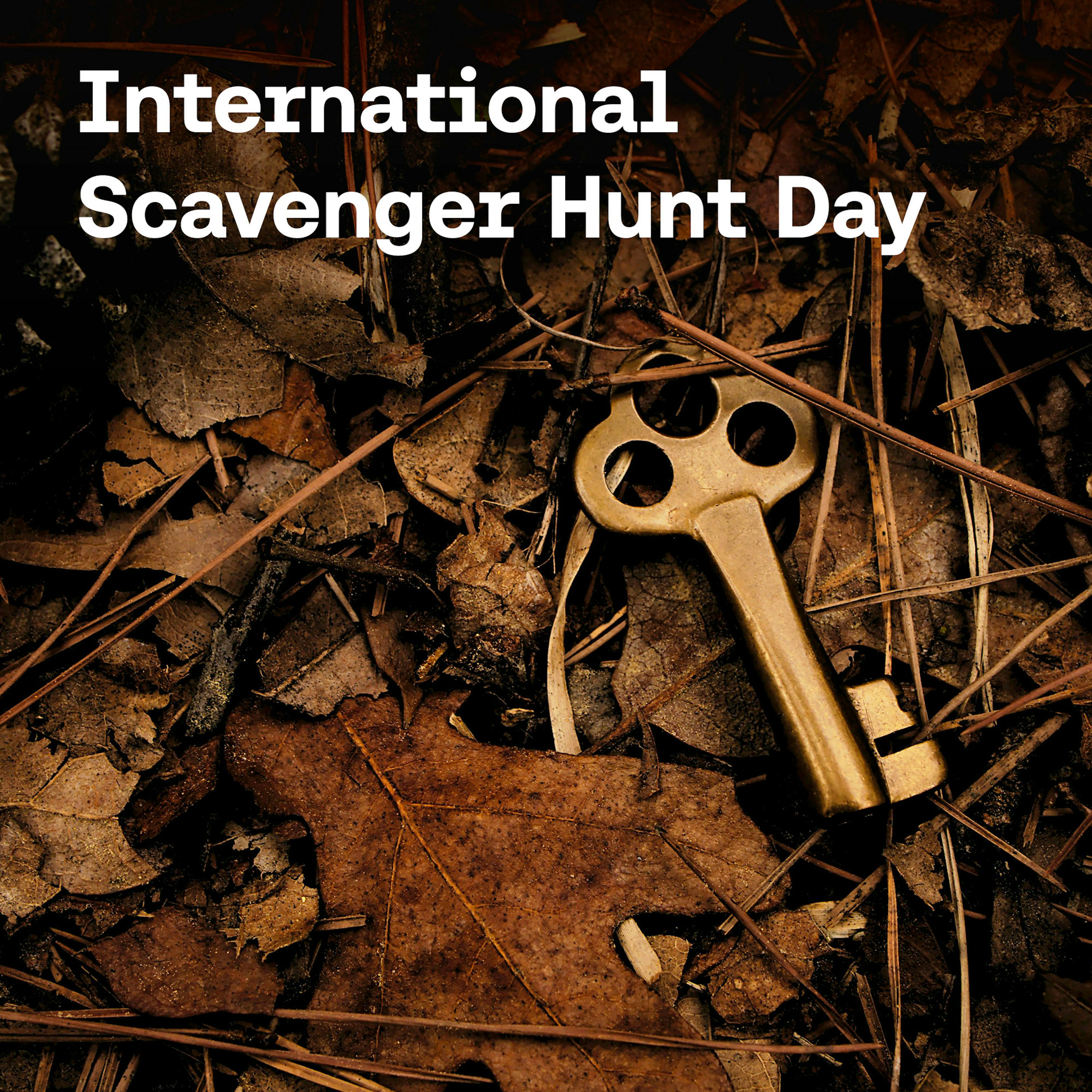 Scavenger Hunt Day