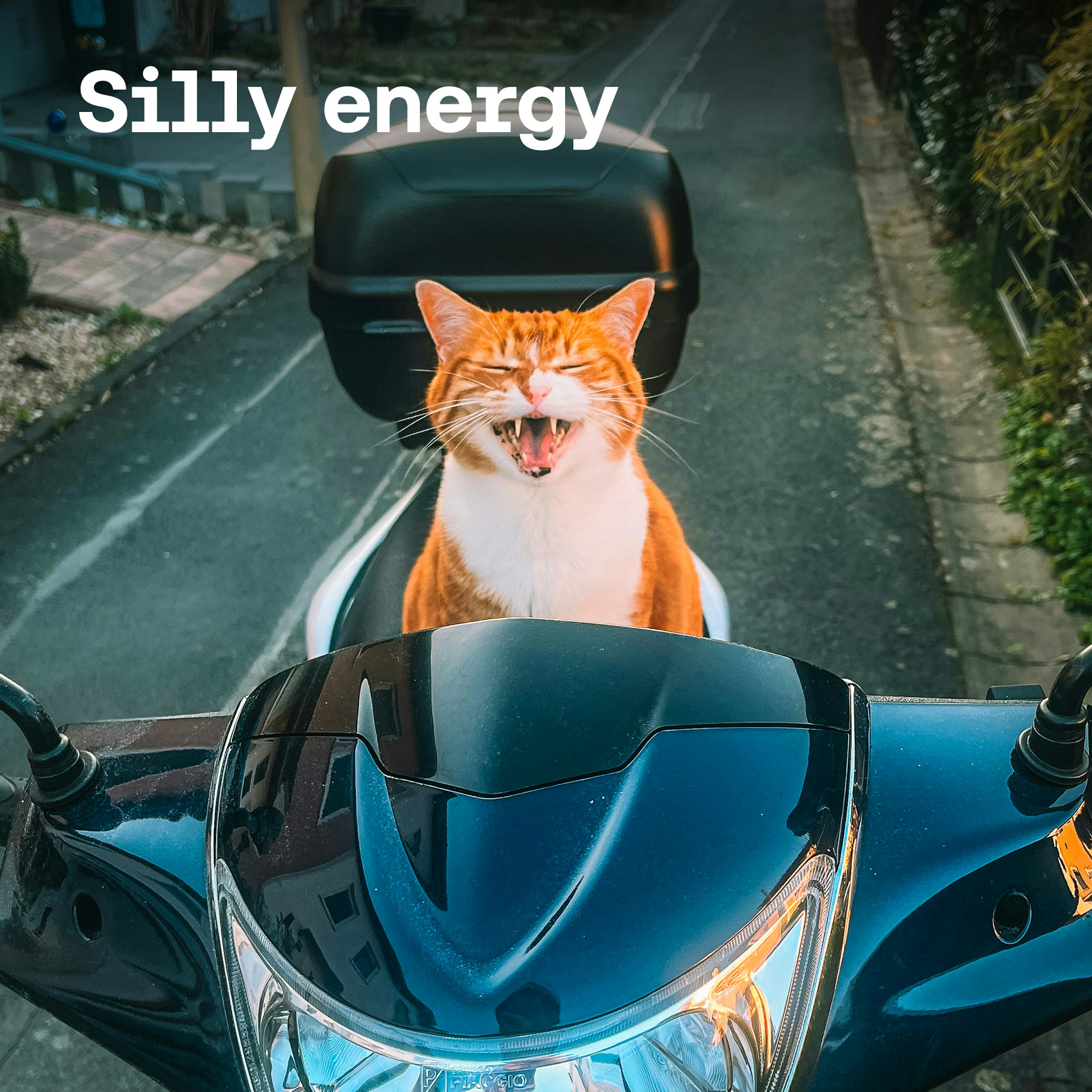 Silly Energy