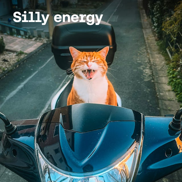 Free silly music cover image