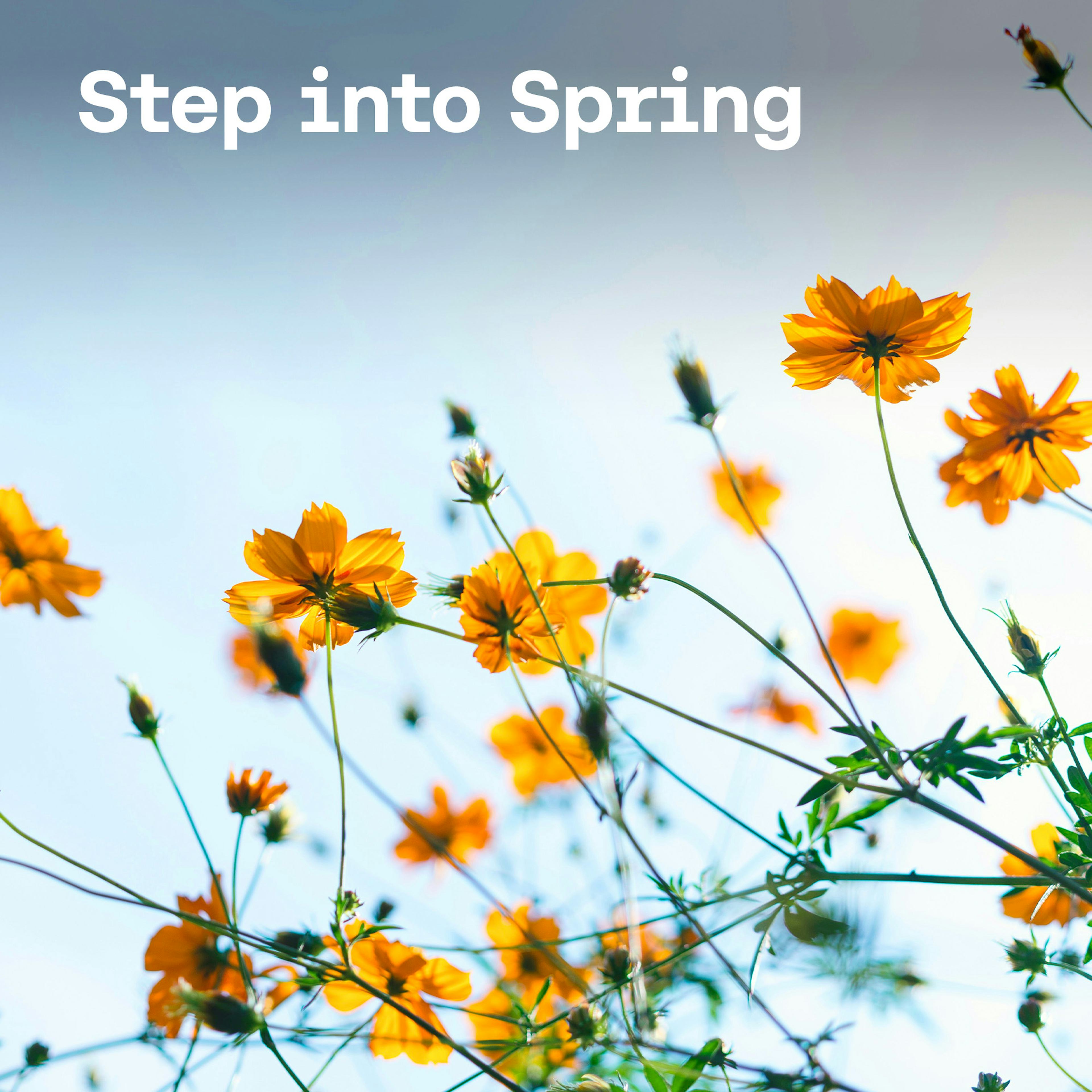 Step Into Spring