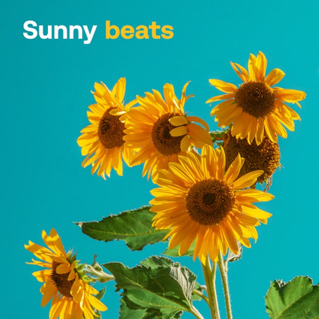 Free sunny beats cover image