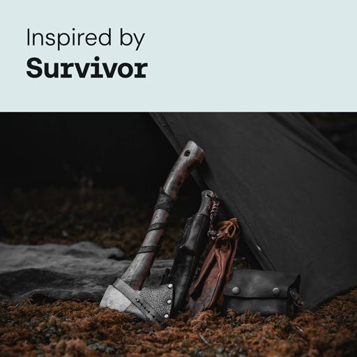 Inspired by Survivor cover image