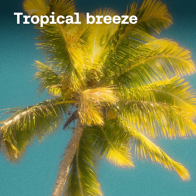 Tropical Breeze cover image