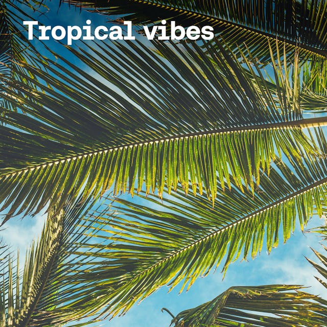 Tropical Vibes cover image