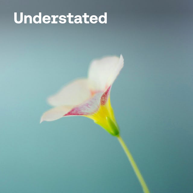 Free understated music cover image