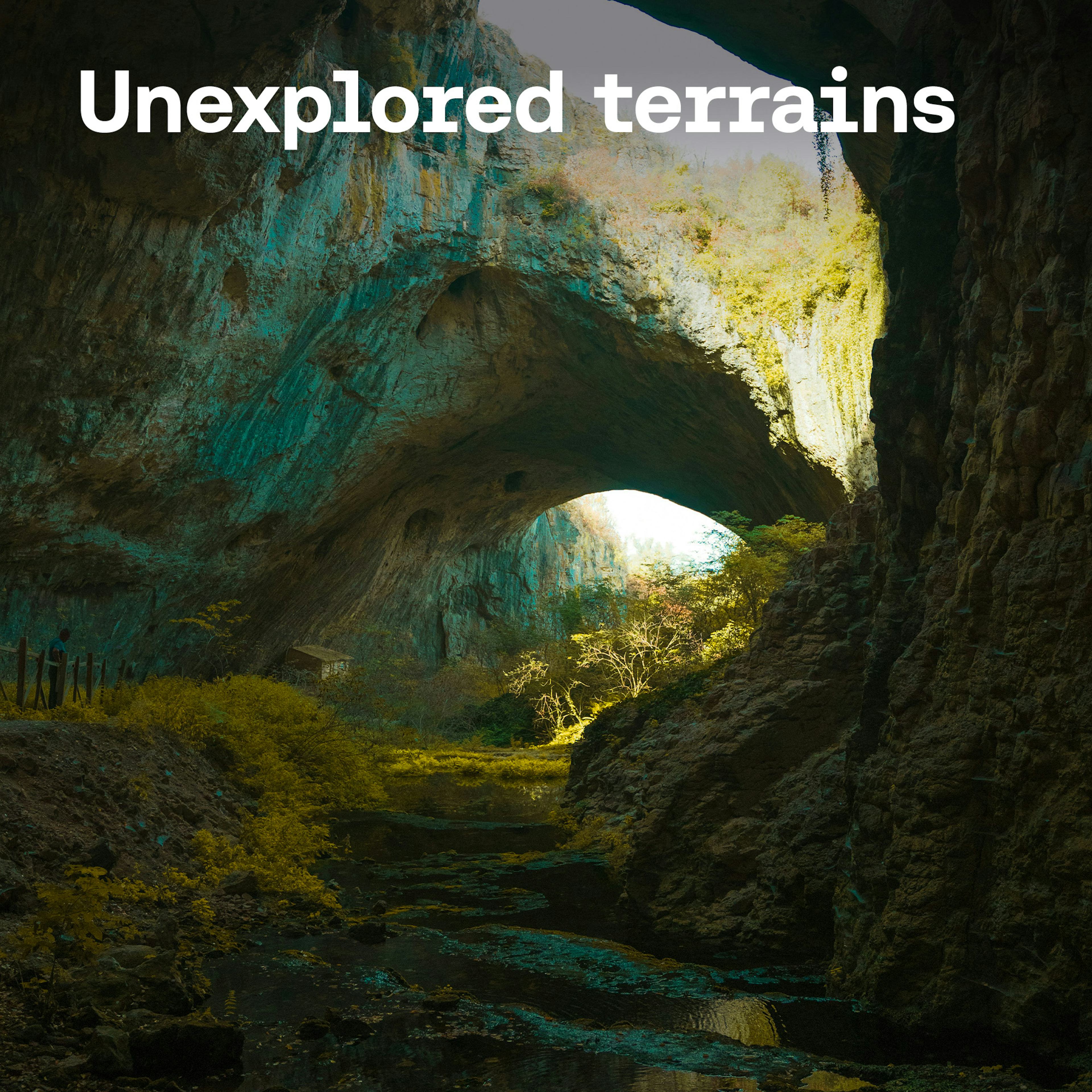 Unexplored Terrains