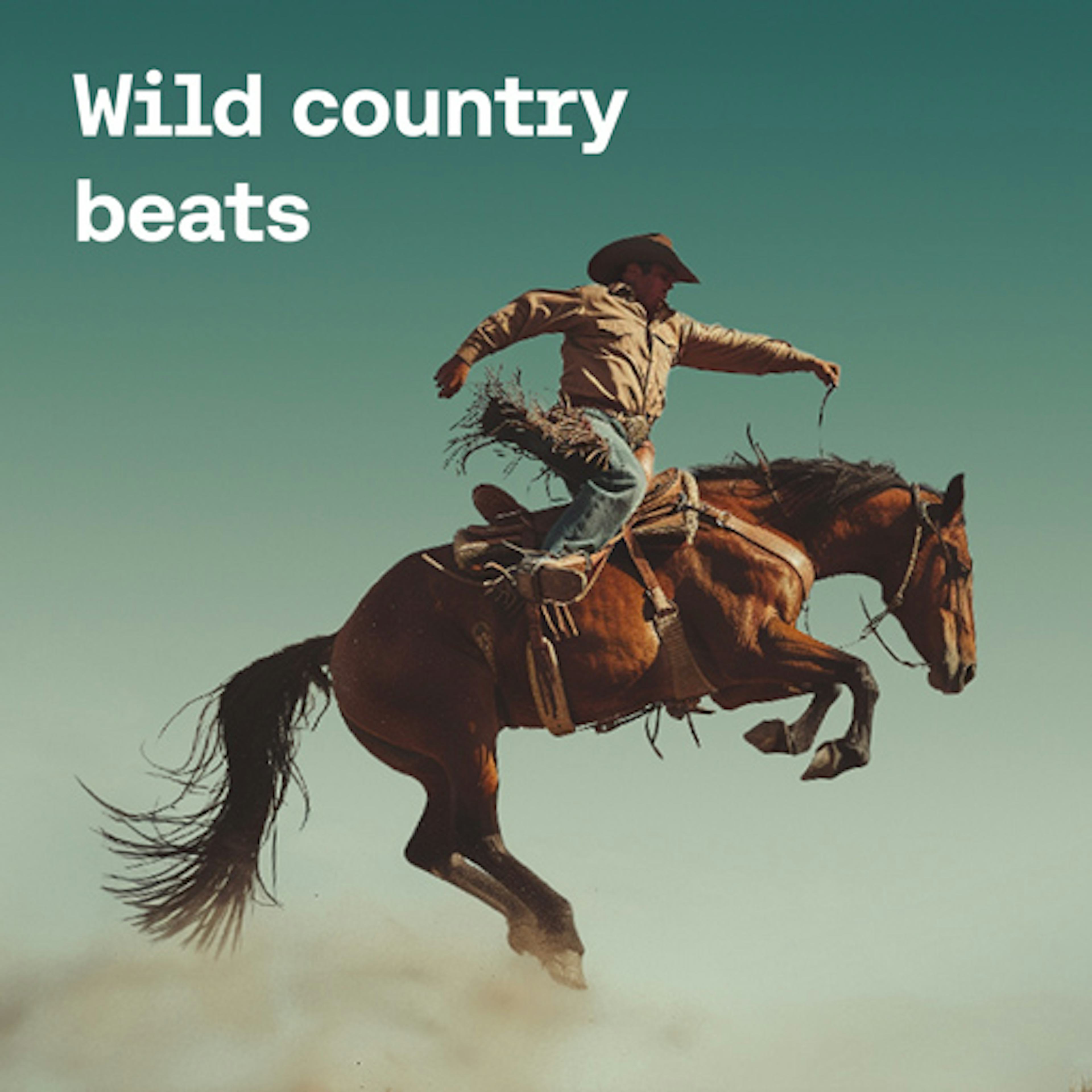 Wild Country Beats