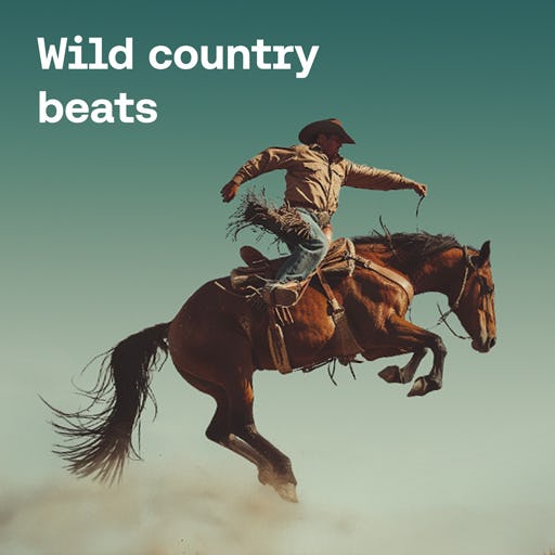 Wild Country Beats cover image