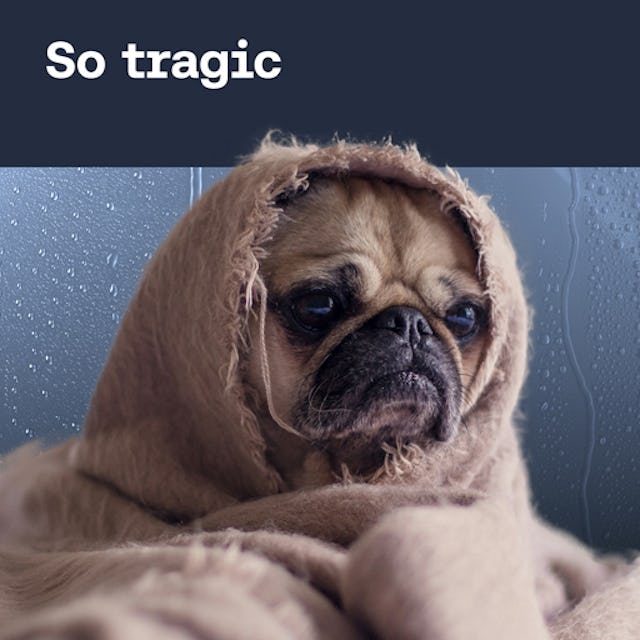 Free tragic sound effects cover image