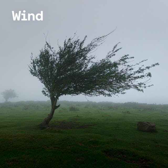 Free wind sounds cover image