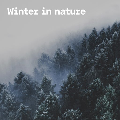 Winter in Nature cover image