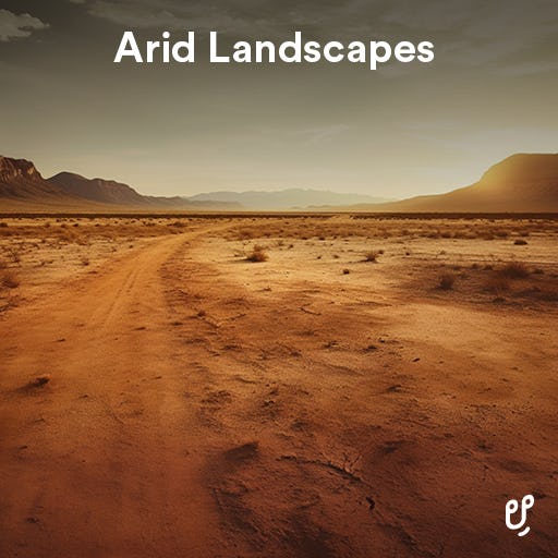 Arid Landscapes artwork