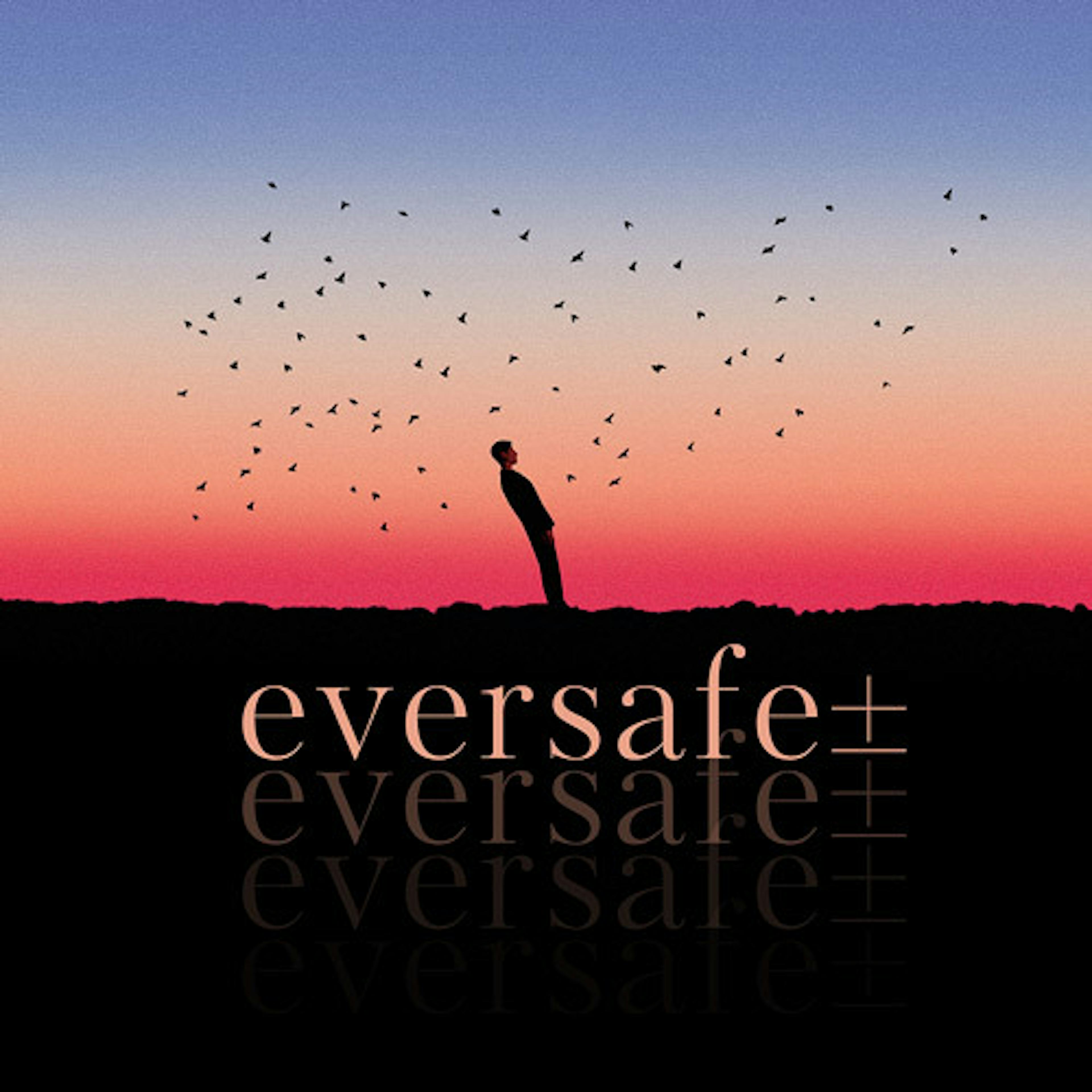 Eversafe ±