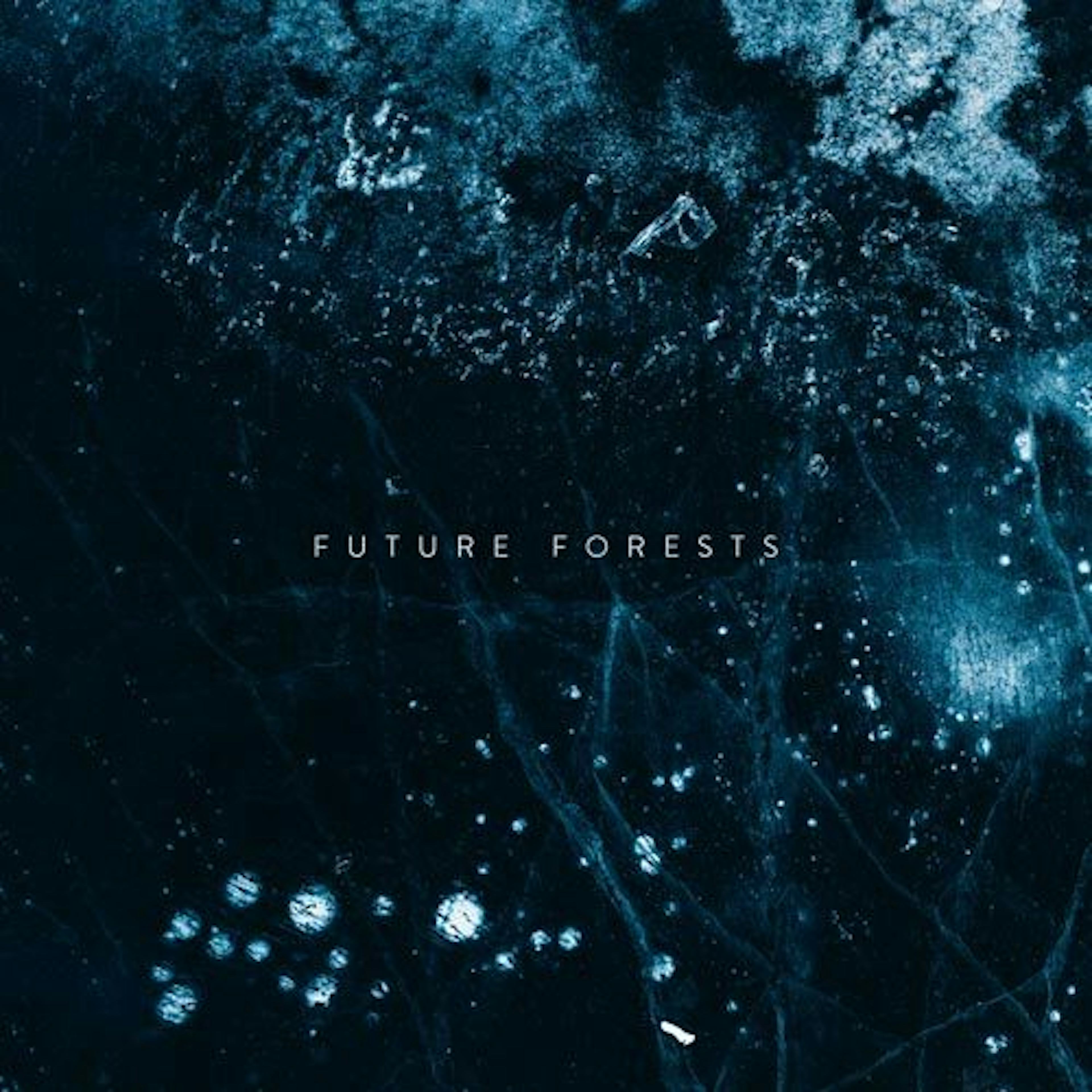 Future Forests artwork