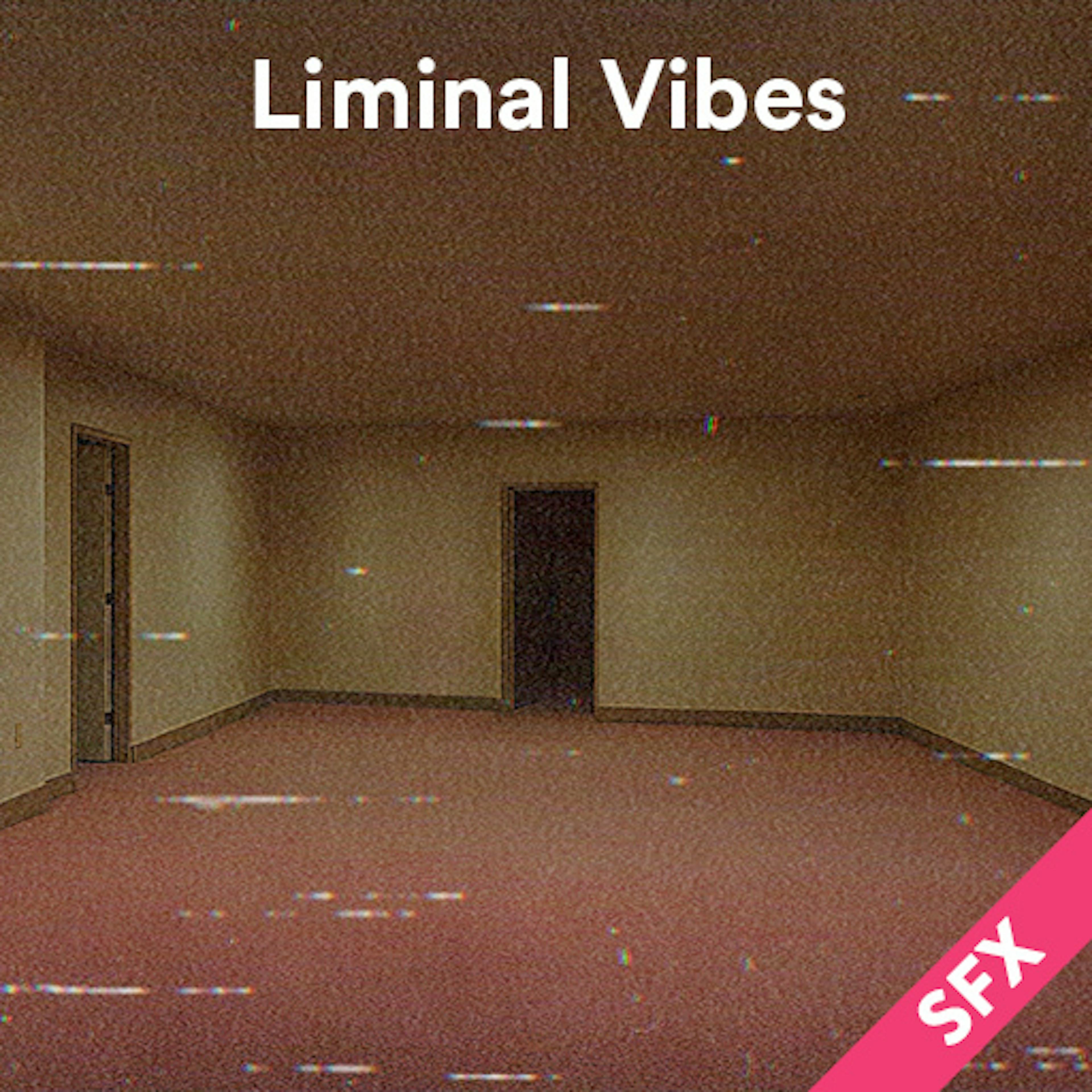 Liminal Vibes artwork