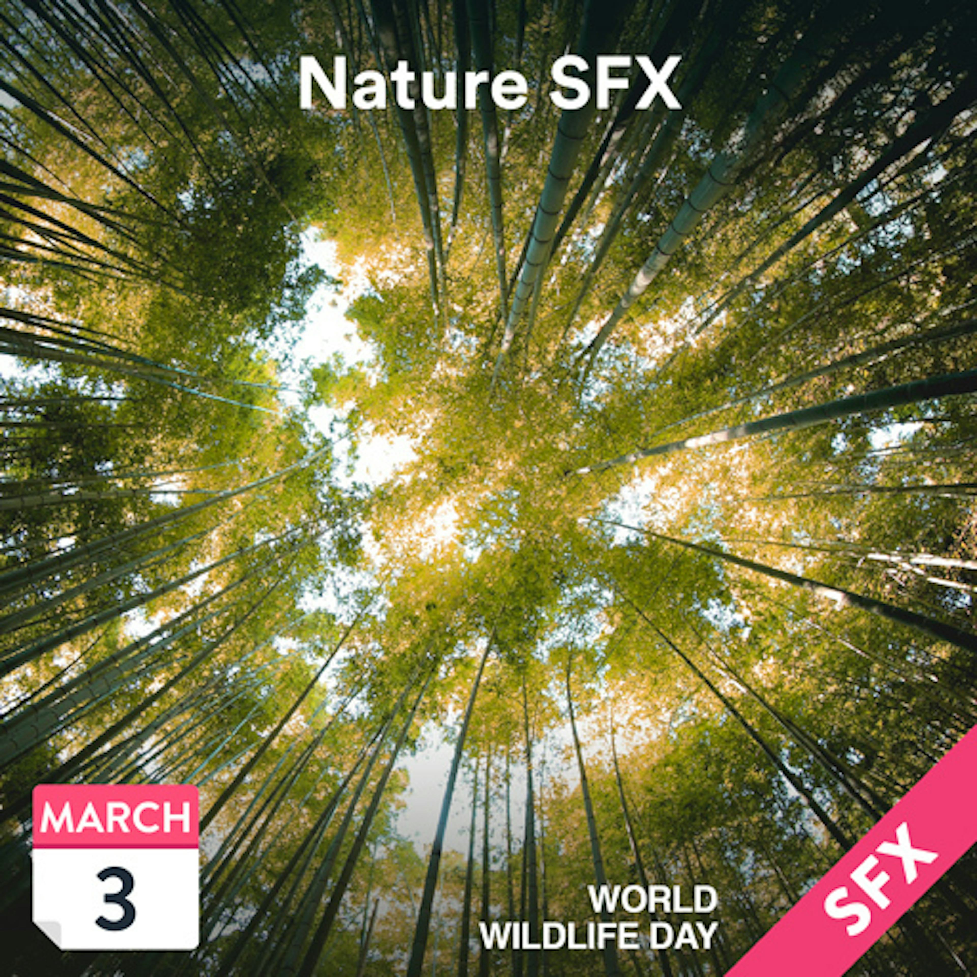 Nature SFX