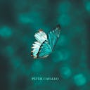 Peter Cavallo
