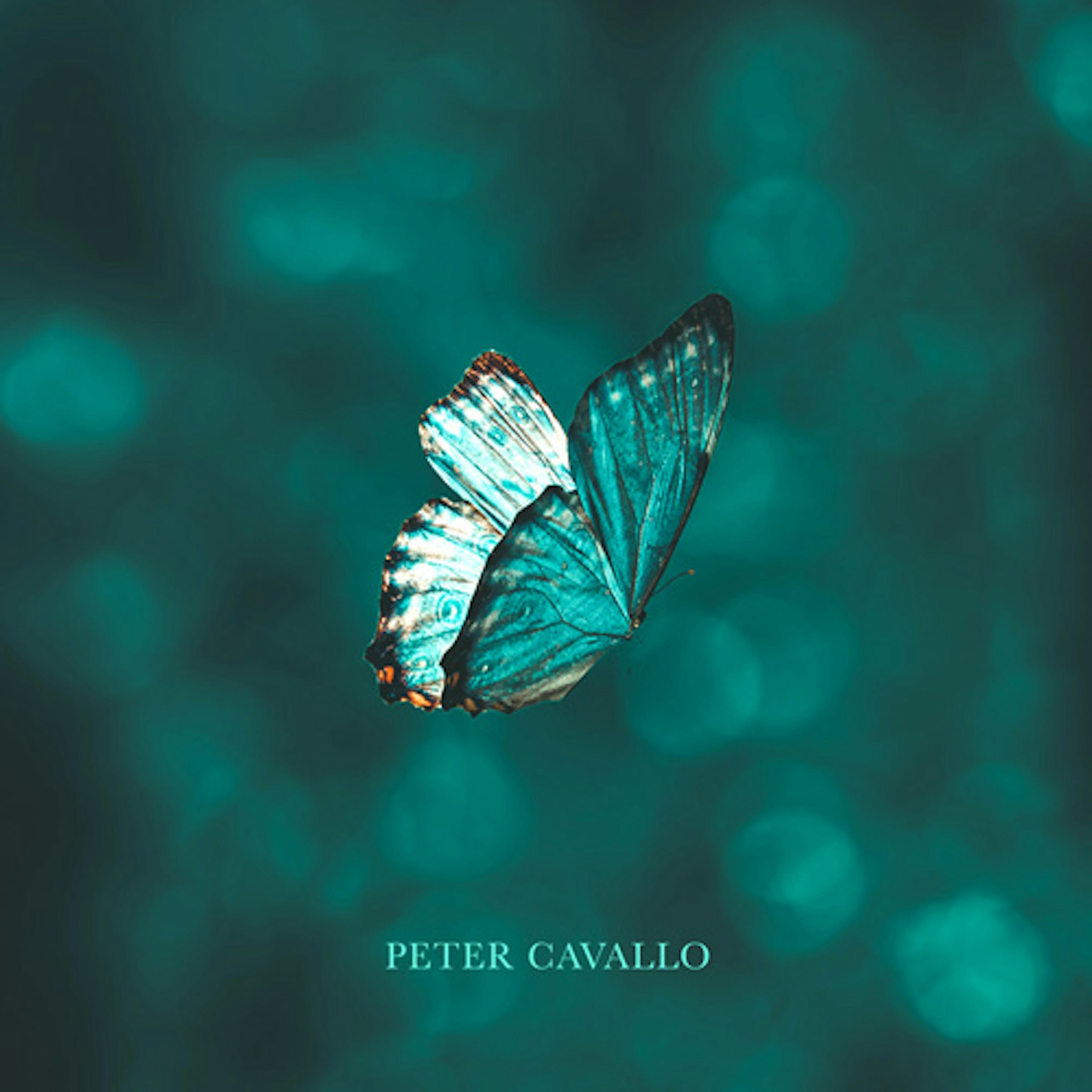 Peter Cavallo