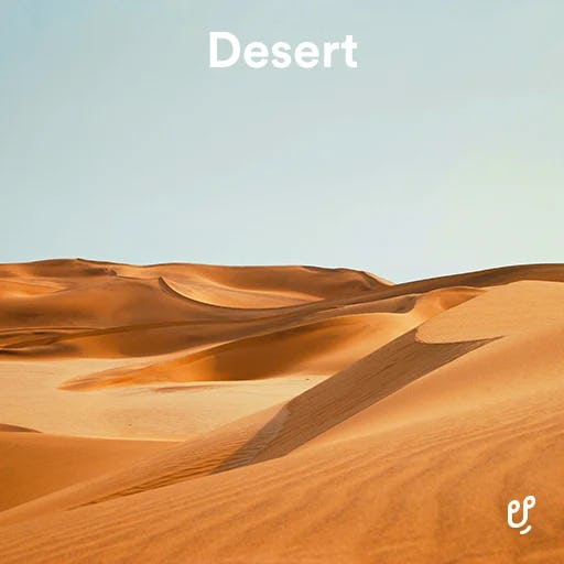 Desert artwork