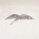 Sky Flying By