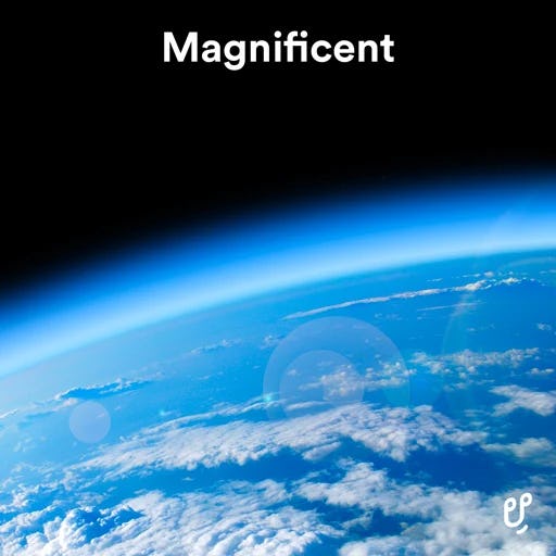 Magnificent