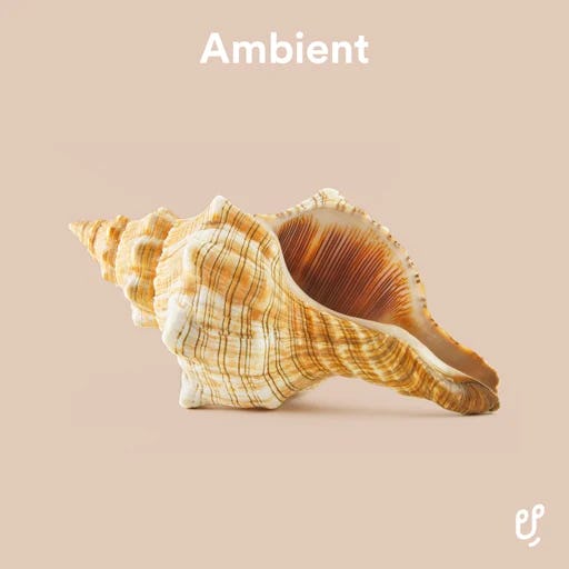 Ambient