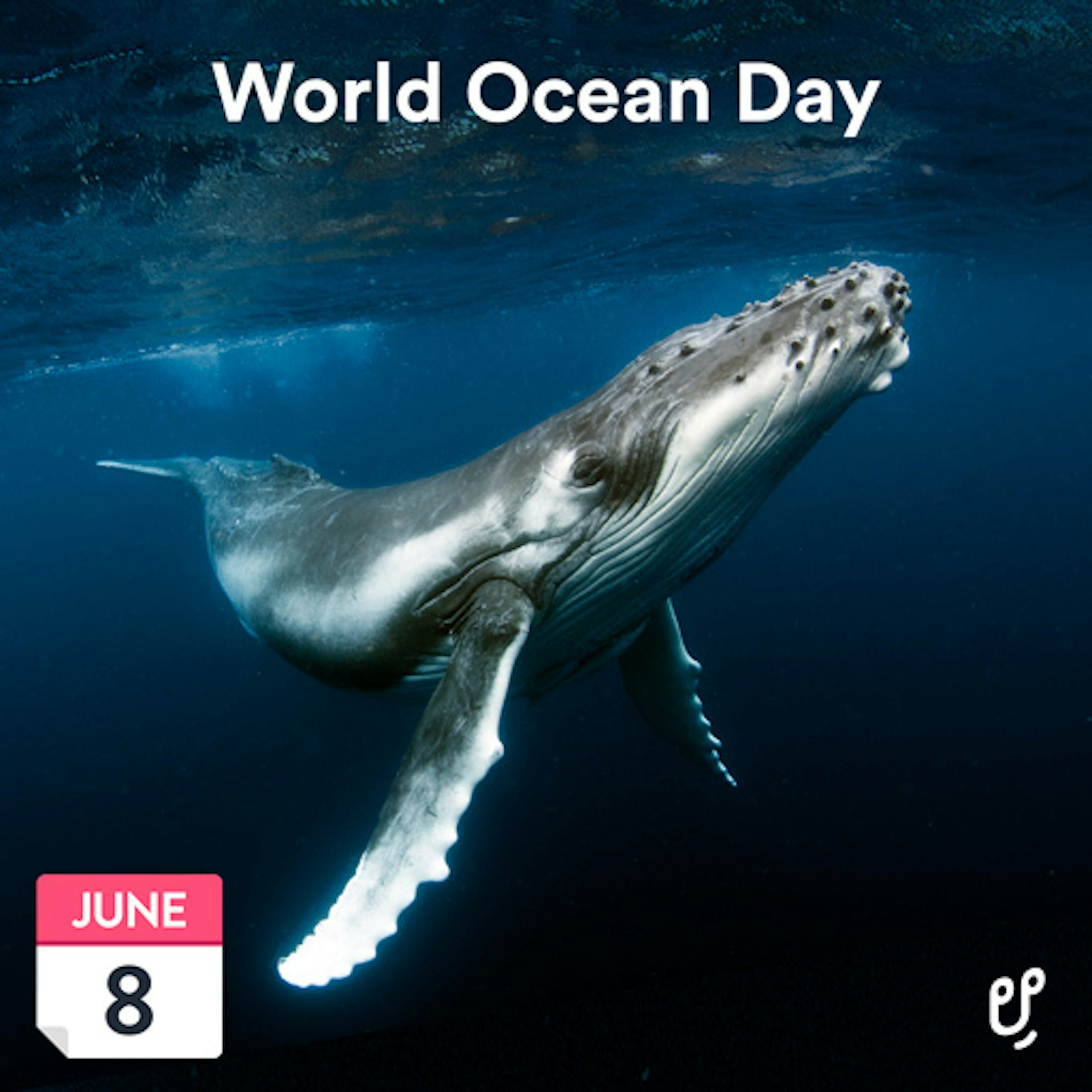 World Ocean Day artwork