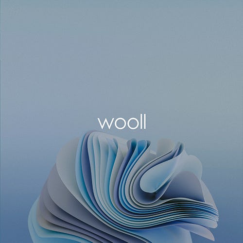 wooll artwork
