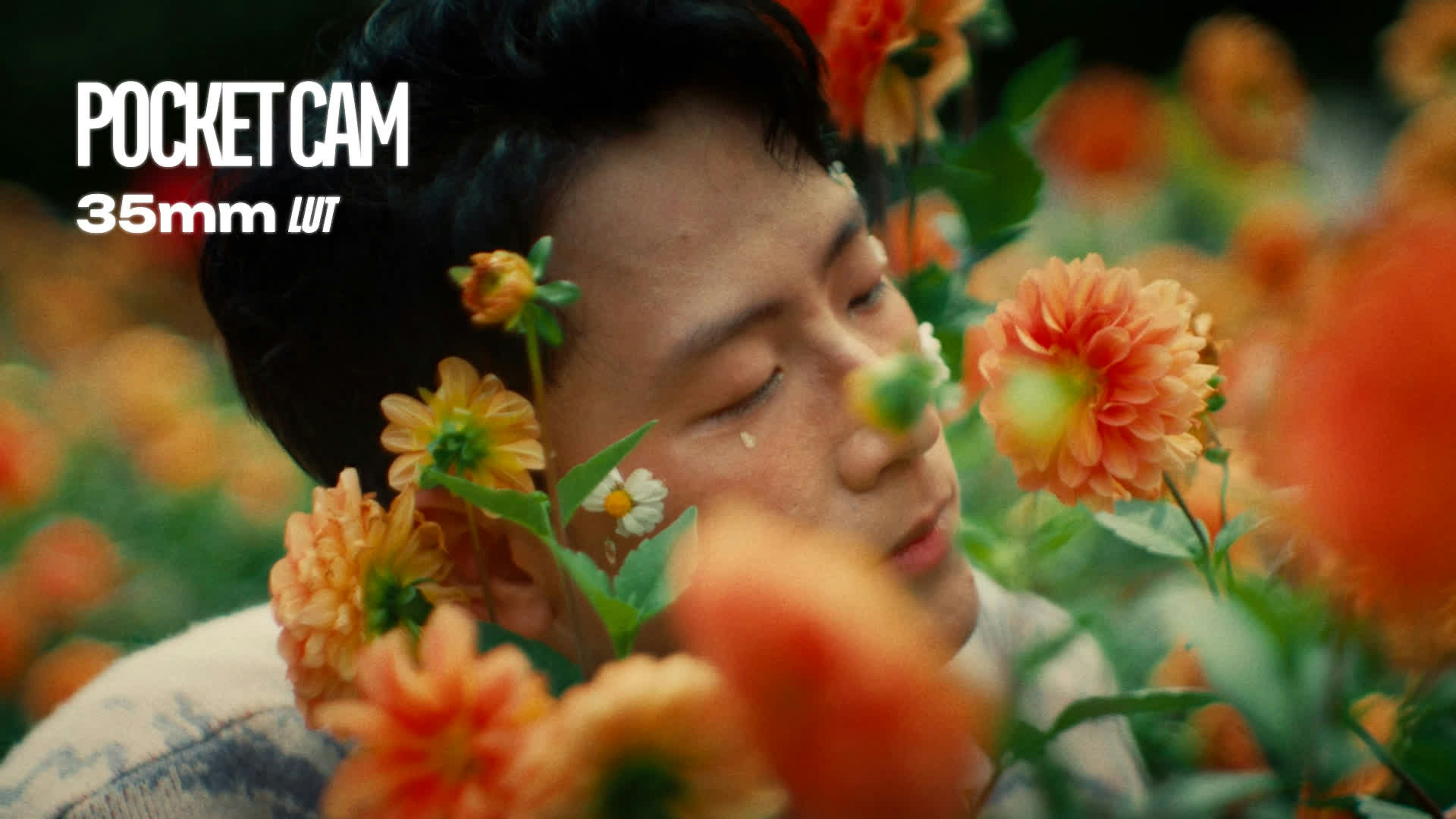 35mm Pocket Cam LUT