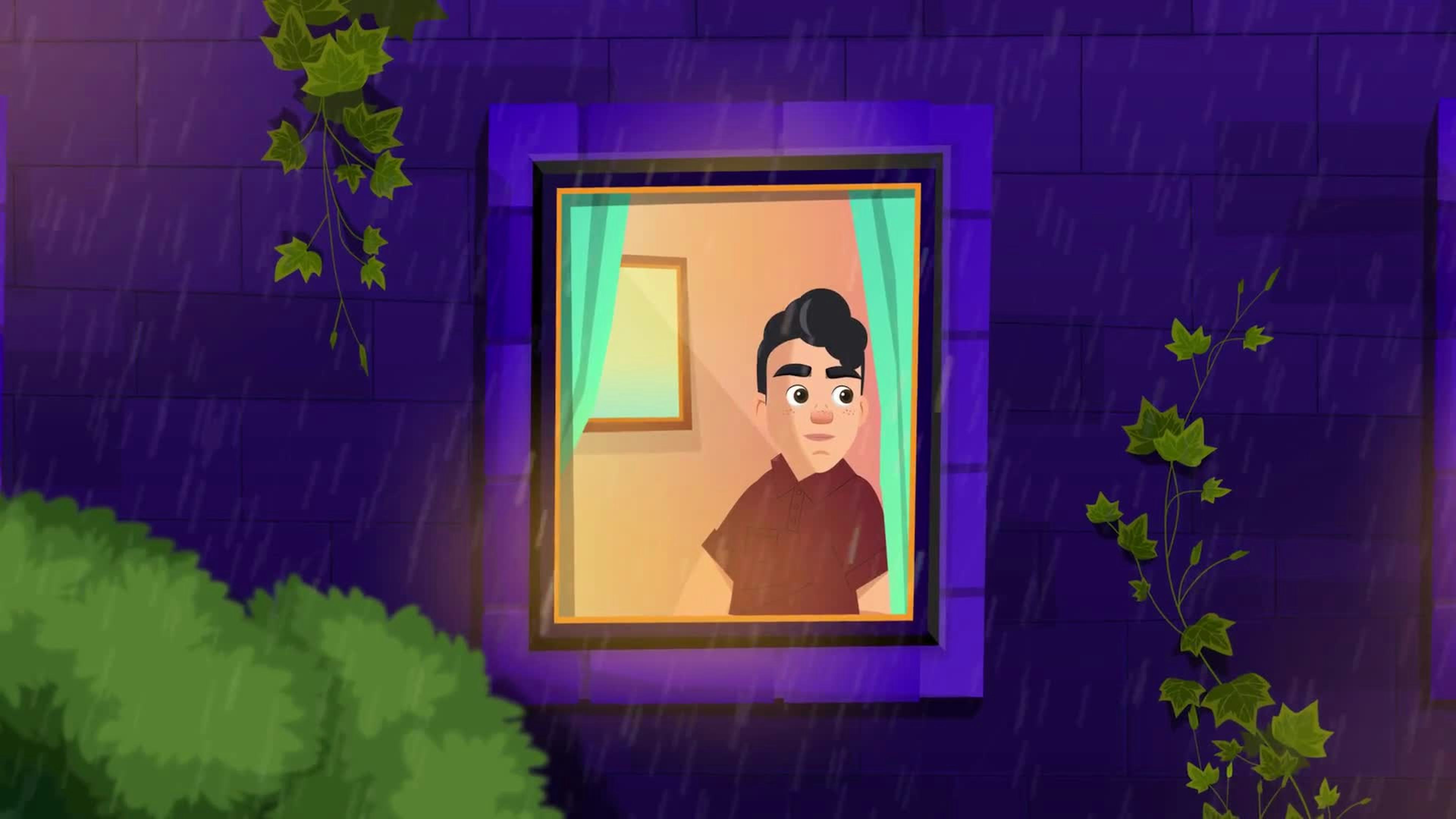 video preview