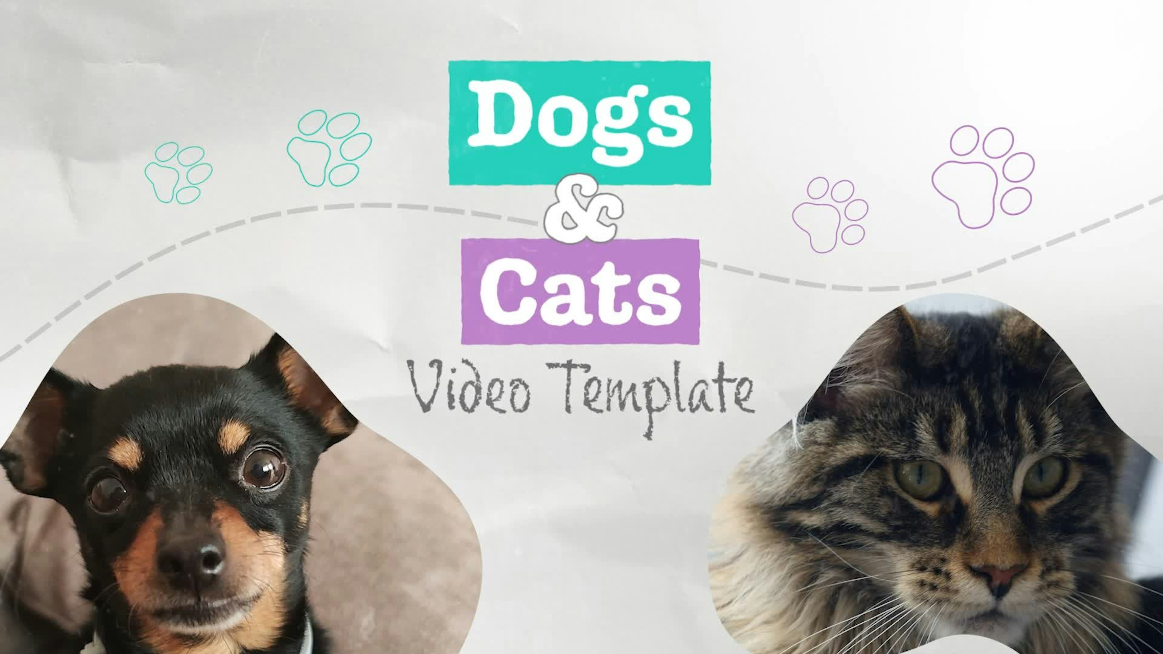 Cute Pawprint Themed Pet Intro