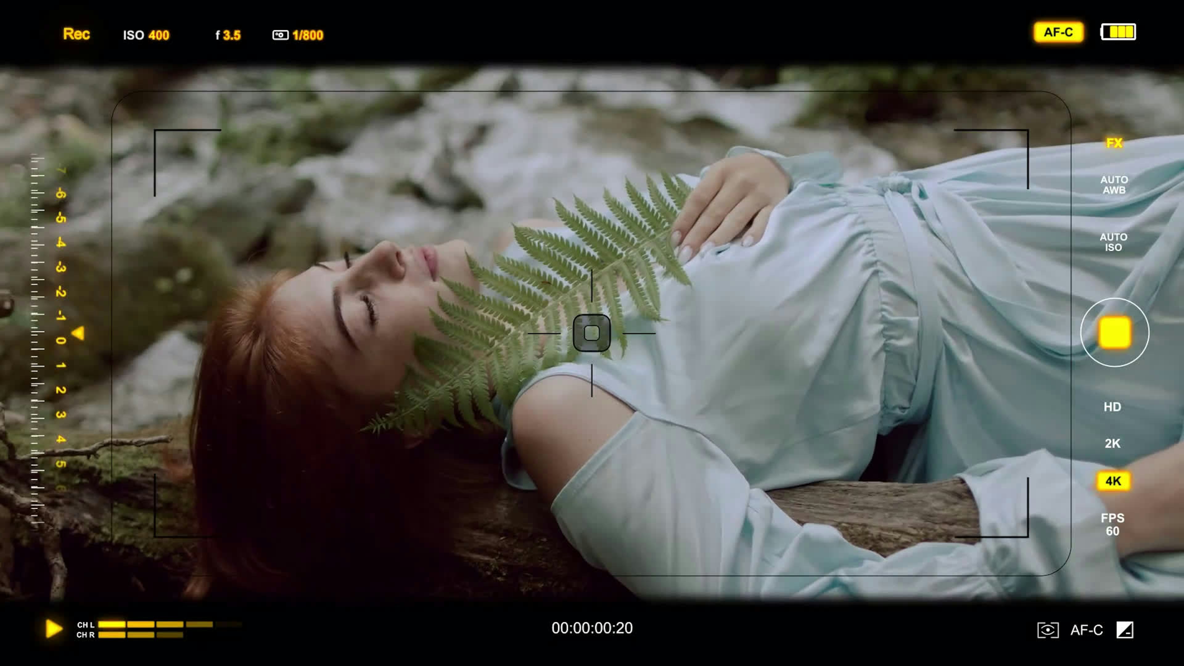 Camera Viewfinder HUD