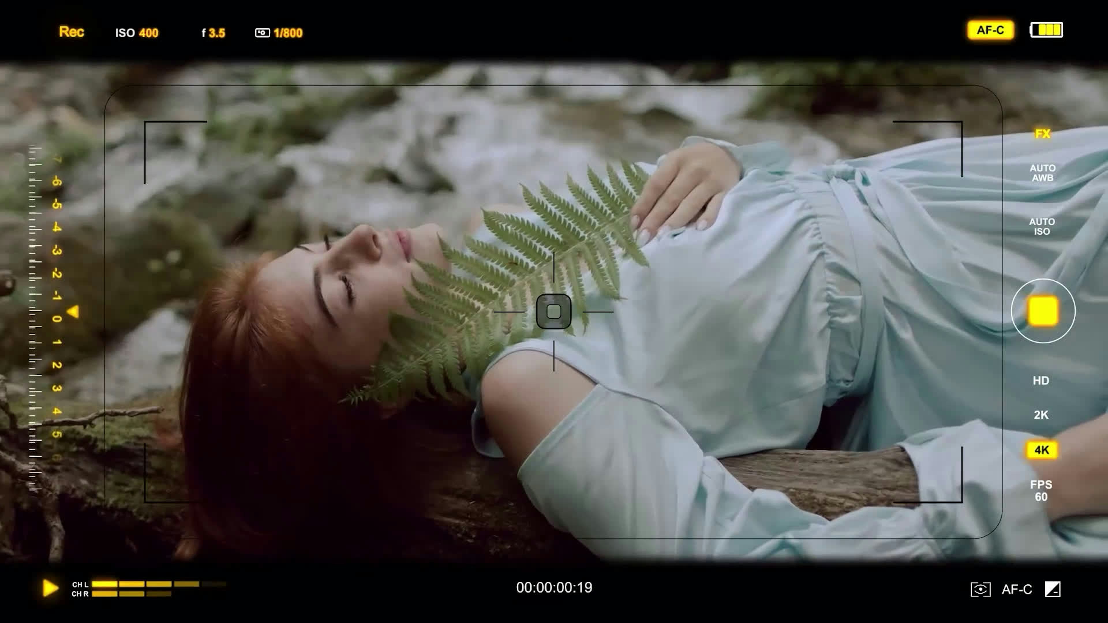 Camera Viewfinder HUD