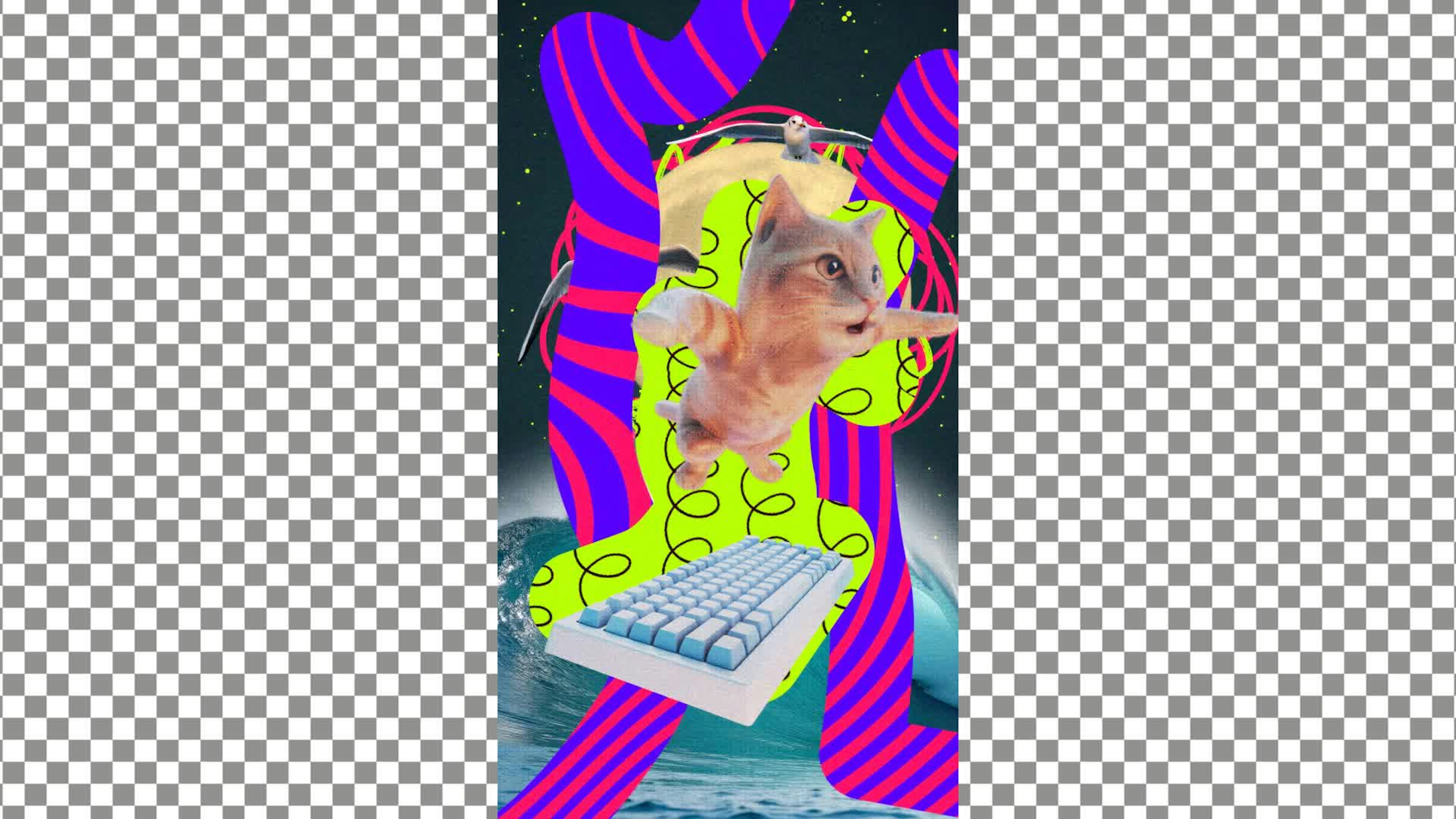 video preview