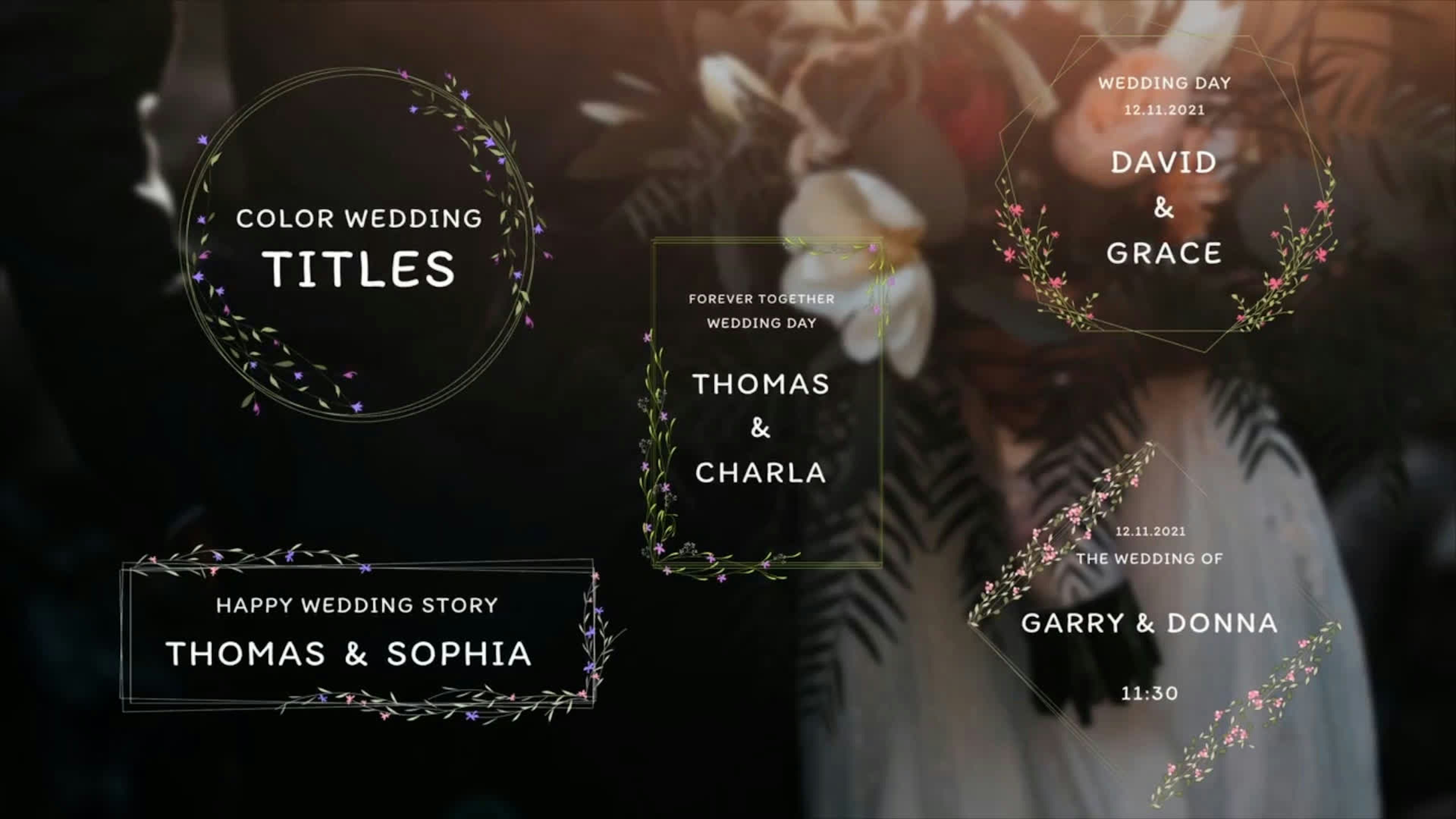 Color Wedding Titles