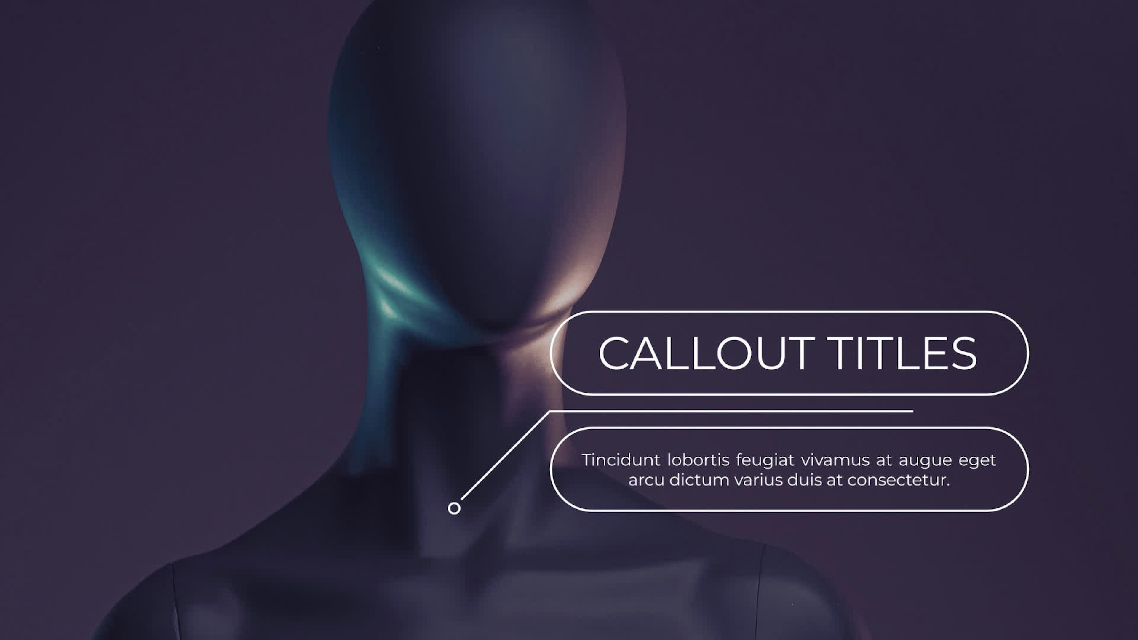 Elegant Callout Titles