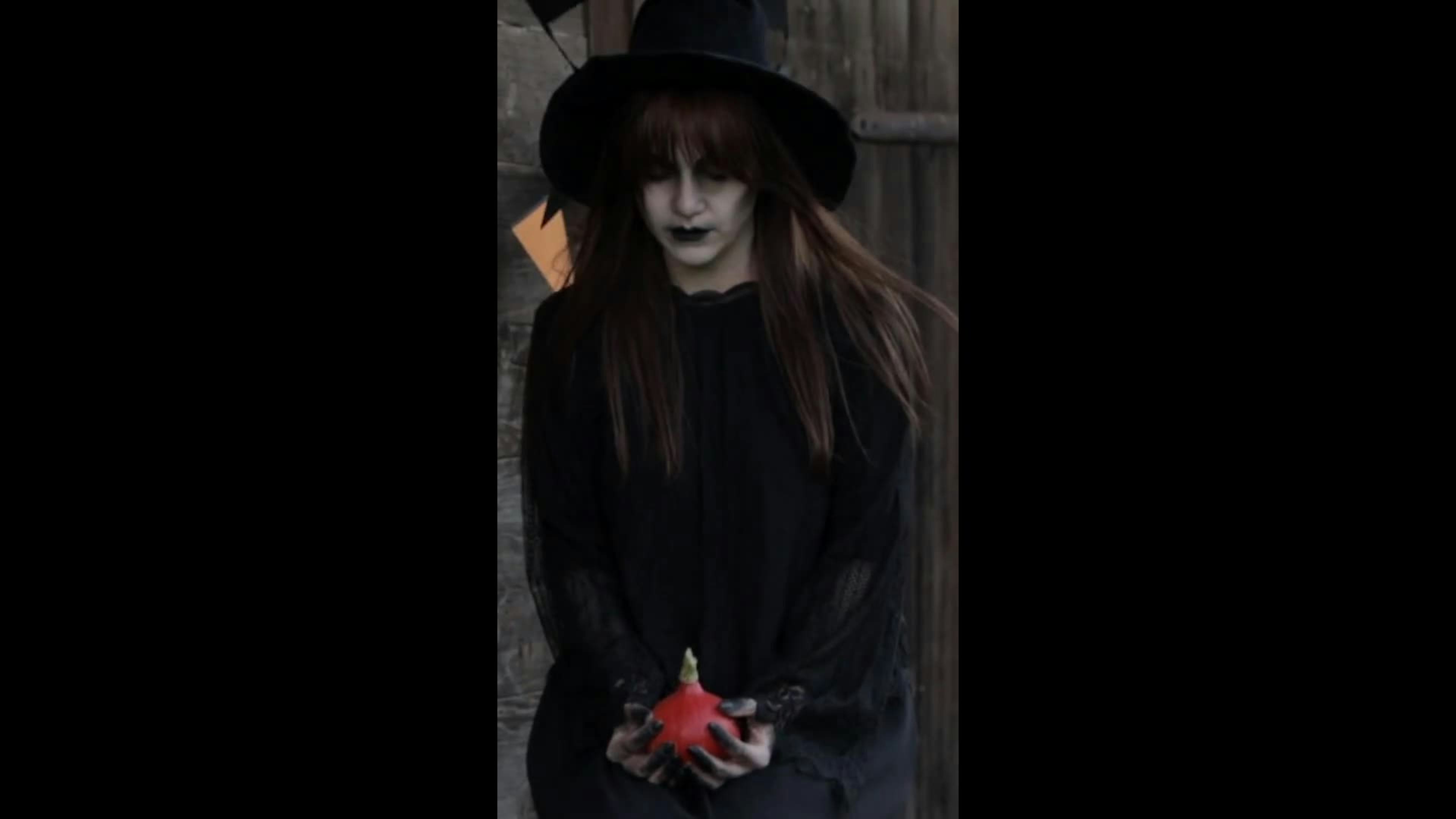 Halloween Vertical Transitions Pack