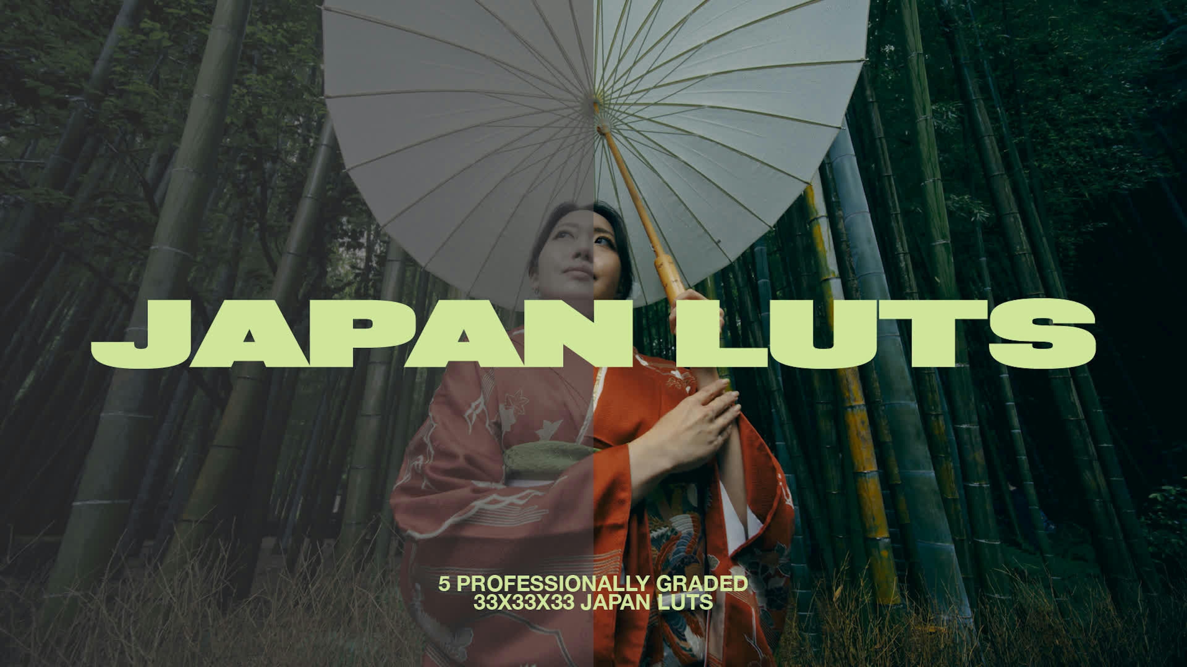 Japan LUTs