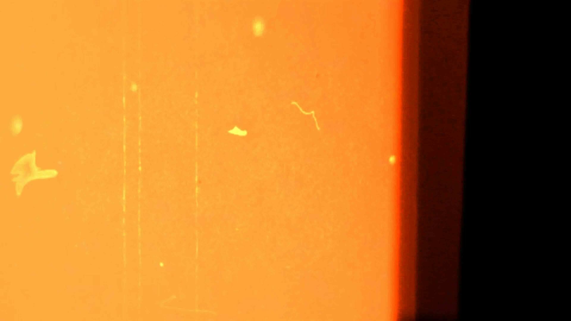 Light Leaks Overlay On Film Free Motion Graphics Template Uppbeat light-leaks-overlay-on-film-free-motion-graphics-template-uppbeat